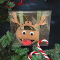 Reindeer Googly Eye Christmas Ornament image 0